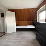 Seestern 度假居